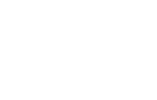 Sales Viking
